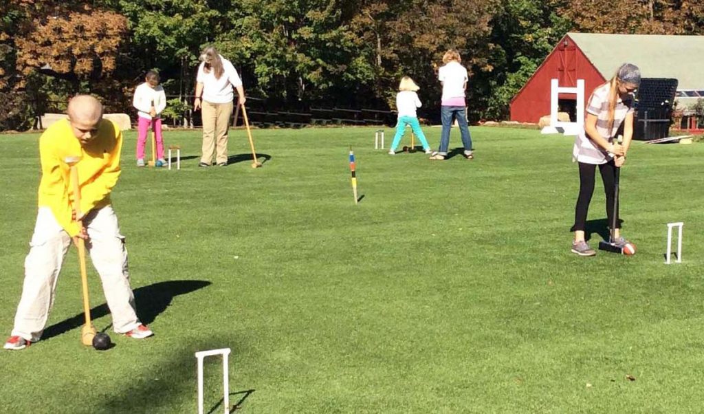 Fancy a game of croquet? Bush Hill Park Residents' Association